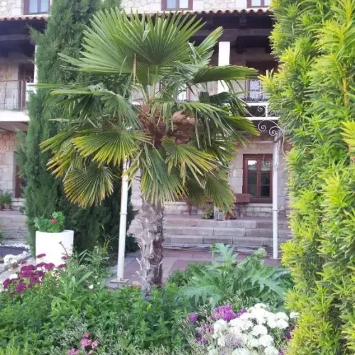 Alojamiento rural con terraza y jardín